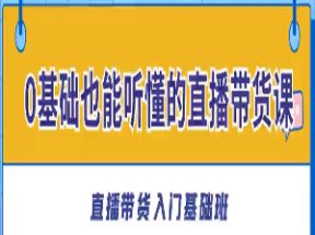 零基础也能听懂的直播带货课网盘下载