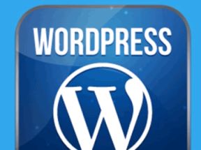 Wordpress网站建设和优化网盘下载
