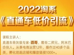 2025淘系直通车低价引流网盘下载