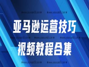 跨境电商亚马逊运营技巧X3学习网盘下载