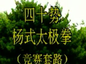 杨式太极拳40式网盘下载