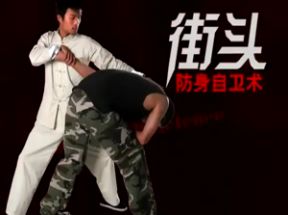 实战防身术防身自卫技巧17集网盘下载