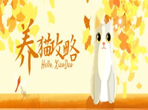 猫咪训练+养猫攻略大全网盘下载