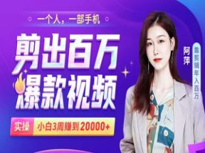 零基础手机剪辑赚钱课19集高清下载网盘下载