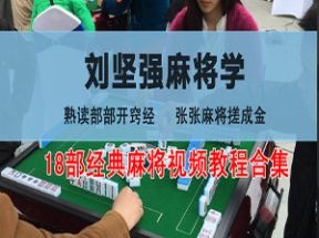 打麻将技巧全套视频教程132集下载网盘下载