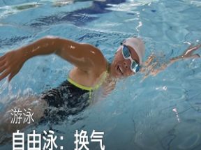超清<strong>零基础</strong>学游泳教学视频全集网盘下载