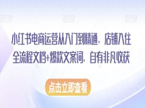 小红书电商运营从入门到精通网盘下载
