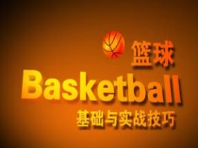 篮球基础与实战技巧14集视频+电子书教材网盘下载
