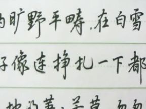 硬笔书法教程|<strong>零基础</strong>教你写出一手漂亮的好字网盘下载
