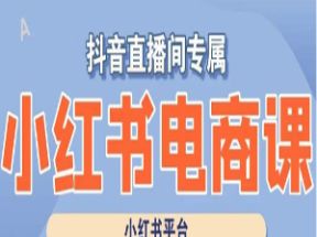 小红书电商高级运营课程，实操教学+案例分析网盘下载