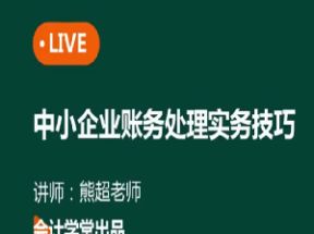 会计财务实操之中小企业账务处理实务技巧（49讲全）网盘下载