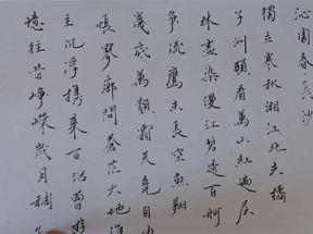 硬笔书法入门到进阶篇（51集）网盘下载