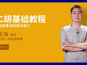 王老师二胡自学课程42课时（高清）网盘下载