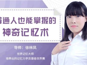 普通人也能掌握的神奇记忆网盘下载