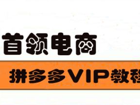 首领电商拼多多VIP教程网盘下载