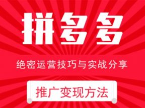 电商运营之拼多多推广变现方法MP3音频课网盘下载