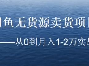 闲鱼无货源卖货项目：从0到月入1-2万实战方法网盘下载