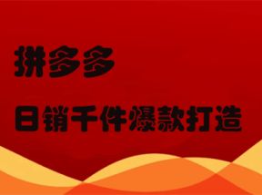 拼多多日销千件爆款打造(14课)网盘下载