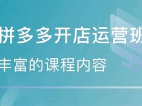 拼多多运营系列课程网盘下载