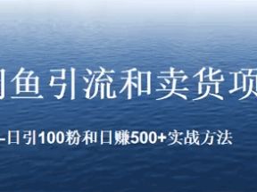 闲鱼引流和卖货项目：日引100粉和日赚500+实战方法网盘下载