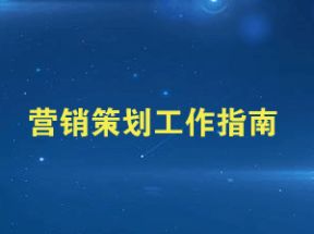 营销策划工作指南网盘下载