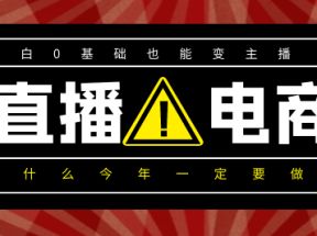 0基础入局直播电商网盘下载