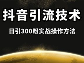 抖音引流课程：日引300粉实战操作方法网盘下载