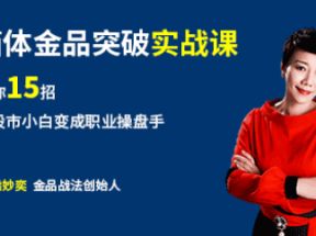 股市实战课：从小白到职业操盘手网盘下载