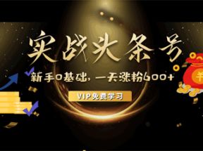 有叔课堂：<strong>零基础</strong>玩转头条号实战训练课网盘下载