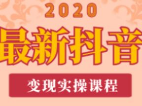 抖音变现实操VIP课程2025网盘下载