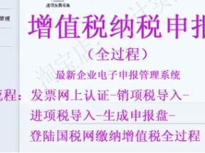 增值税一般纳税人网上申报视频网盘下载