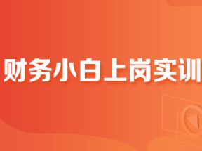 财务小白上岗实训网盘下载