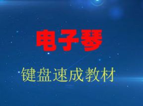 电子琴键盘速成教学（12集视频加教案文本）网盘下载