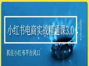 小红书电商实战精通课网盘下载