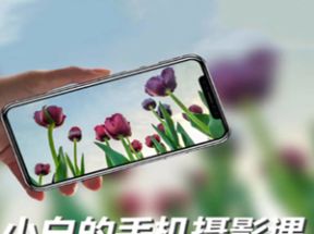 小白的手机摄影课风光摄影16节课网盘下载