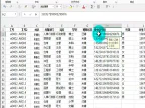 EXCEL人力资源应用10课网盘下载