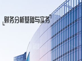 财务分析基础与实务网盘下载