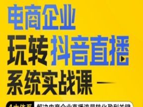 电商企业玩转抖音直播电商系统实战课网盘下载