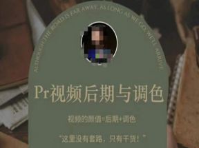 Pr视频后期与调色网盘下载