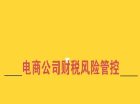 电商公司财税风险管控高阶课网盘下载