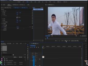 经典PR教程-零基础到大师级剪辑师之路网盘下载