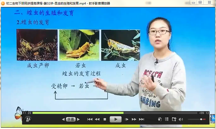 八年级生物学下册