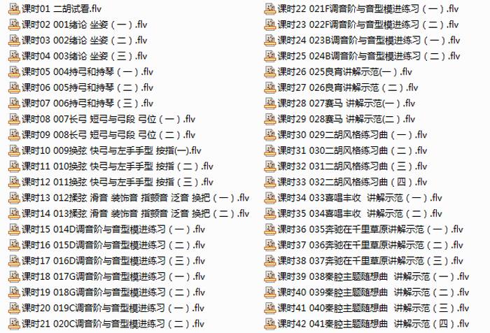 王老师二胡自学课程42课时